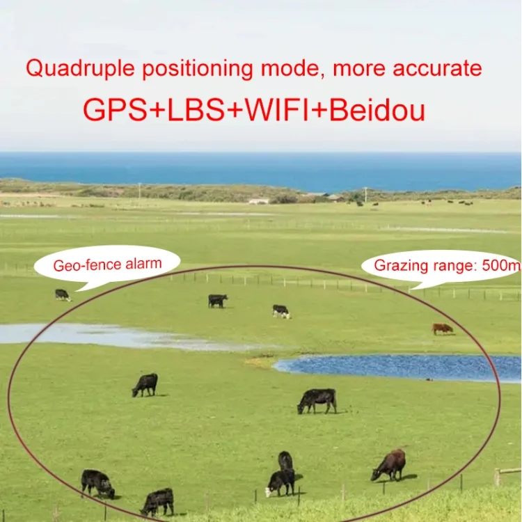 EDA003901401_B4.webp RF-V24 4G Solar GPS Tracking Locator Livestock Tracker - Image 5