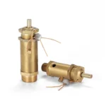 LAIZE Spring Type Safety Valve Pull Ring Exhaust Valve - Image 3