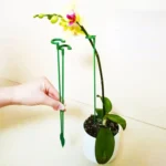 10pcs Plant Potted Flower Shape Support Rod Fixed Anti-lodging Leaf Guard Frame - Image 5