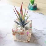 3 Cups Love Ice Tray Silicone Mold Succulent Plaster Mold, Random Color Delivery - Image 5