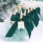 Gift Bag Transparent Packaging Bag, Green Ribbon+Hanging Tag+Lafite Grass