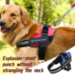 Pet Dog Anti Sprint Oxford Cloth K9 Chest Strap Traction Rope Strap - Image 6