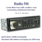 JSD-530 Bluetooth 5.0 Car MP3 Player Support FM / Smart Voice Assistant / Mobile APP - Image 6