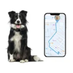 V41 Smart GPS Tracker IP67 Waterproof Pet Anti-loss Positioner - Image 3