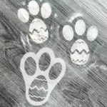 Acrylic Easter Bunny Footprint Template - Image 4