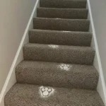 Acrylic Easter Bunny Footprint Template - Image 5