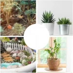 24pcs / Box Acrylic Plant Label Nameplate Potted Plant Sign Holder - Image 5
