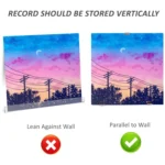 Wall Mounted Acrylic No-Punch Record Display Stand - Image 5