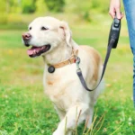 Global Positioning Pet Key Circular Anti-Lost Device Locator - Image 6