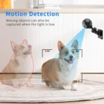 X3 Wireless Mini DV WiFi IP Camera, Support Night Vision / Motion Detection - Image 7