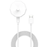 Electric Toothbrush Charging Base, Specification: Type-C Plug - Image 3