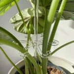 YX106 Acrylic Plant Growth Support Bracket - Image 4