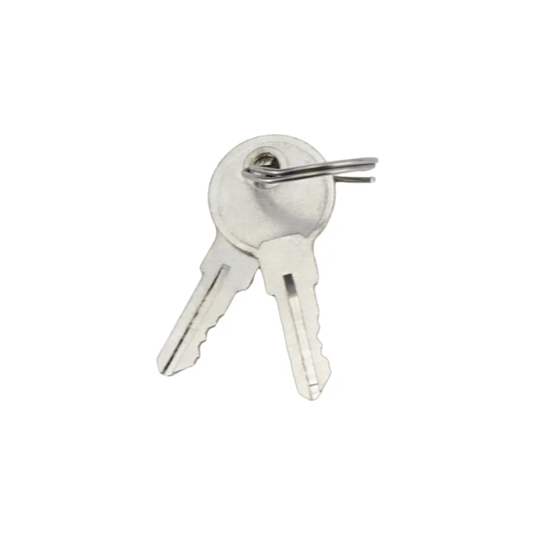 EDA0068832_5.webp 2 Sets / Pack Trailer / Yacht / Truck Stainless Steel Tool Box Lock Paddle Latch & Keys - Image 6