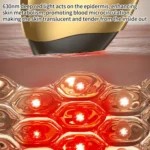 WG-SP-MS1135 EMS Collagen Cannon Essence Introducer Photon Skin Rejuvenation RF Beauty Device - Image 8