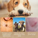 Pet Deworming Calming Collar Fleas Ticks Removing, Aluminum Box Packing - Image 7