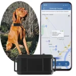 TK919 Dog Collar IP67 Waterproof GPS Locator - Image 6