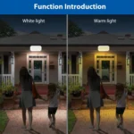 N776B Solar LED High Power Dual Color Sensor Wall Light - Image 6