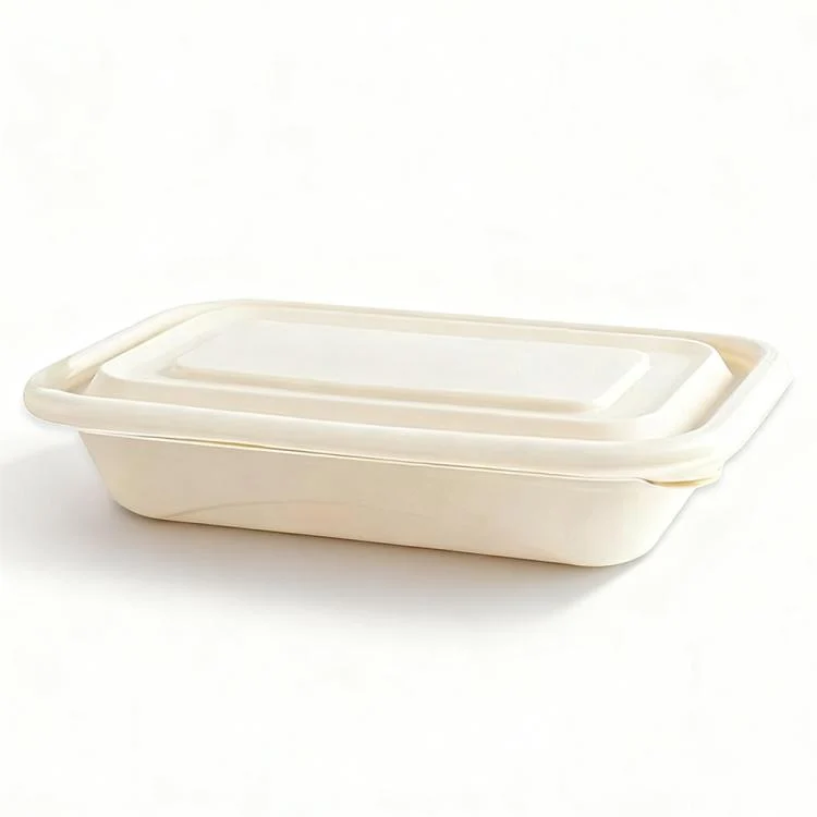 Disposable Food Delivery Lunch Box Containers with Lid