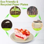 Biodegradable Disposable Round Plate - Image 5