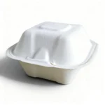 Disposable Takeout Lunch Box Containers