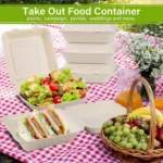 Disposable Takeout Lunch Box Containers - Image 6
