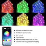 RGB USB  LED Copper Wire Light String Holiday Decoration Light String Bluetooth Mobile APP Control - Image 4