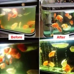 220V 7W UV Ultraviolet Algae Disinfection Fish Tank Lamp, EU Plug - Image 10