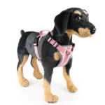 FunAdd Traction Rope Reflective Breathable Nylon Pet Vest Dog Harness, Size: M - Image 2