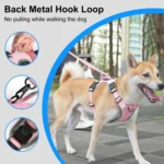 FunAdd Traction Rope Reflective Breathable Nylon Pet Vest Dog Harness, Size: M - Image 6