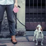 5m Pink Dot Pattern Flexible Retractable Dog / Cat Leash for Daily Walking - Image 6