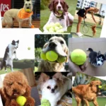 Pet Dog Supplies Toy Training Launcher Remote Speed Aiming Tennis Launcher, Size:52*19*9cm - Image 7