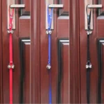 Pet Dog Training Bell Nylon Rope Traction Rope Doorbell Leash Dog Anti-lost Bell with 7 Bells - Image 2