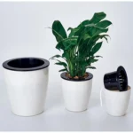Lazy Flower Pots Automatic Water-absorbing Hydroponic Potted Plants Circular Resin Plastic Flower Pots Double-layer Design Self Watering Planter, Diameter: 11cm, Height: 10.3cm(White) - Image 9