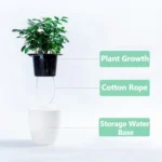 Lazy Flower Pots Automatic Water-absorbing Hydroponic Potted Plants Circular Resin Plastic Flower Pots Double-layer Design Self Watering Planter, Diameter: 15cm, Height: 15.5cm(White) - Image 4