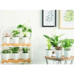 Lazy Flower Pots Automatic Water-absorbing Hydroponic Potted Plants Circular Resin Plastic Flower Pots Double-layer Design Self Watering Planter, Diameter: 15cm, Height: 15.5cm(White) - Image 6