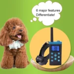 Automatic Anti Barking Collar Pet Training Control System + Electric Shock PU Leather Collar for Dogs - Image 12