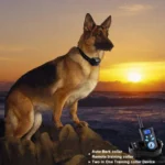 Automatic Anti Barking Collar Pet Training Control System + Electric Shock PU Leather Collar for Dogs - Image 15