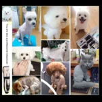 P2 110-240V Ceramics Titanium Professional Pet Electric Scissors Pets Hair Clippers with Four Combs - Image 11