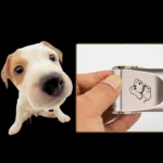 P2 110-240V Ceramics Titanium Professional Pet Electric Scissors Pets Hair Clippers with Four Combs - Image 5