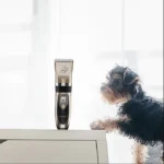 P2 110-240V Ceramics Titanium Professional Pet Electric Scissors Pets Hair Clippers with Four Combs - Image 9