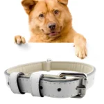 Leather Pet Dog Collar Pet Products Big Dog Collar, Size: XL, 3 * 60cm
