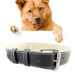 Leather Pet Dog Collar Pet Products Big Dog Collar, Size: L, 2.5 * 51cm