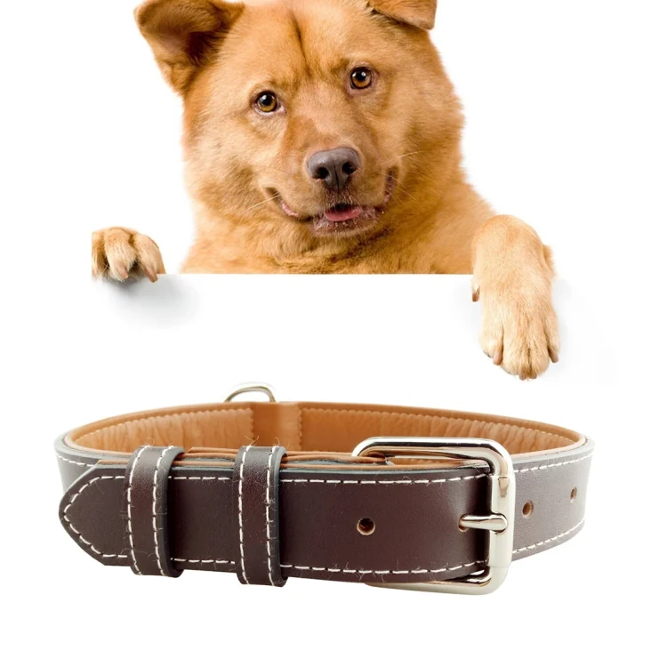 HC4077C.webp Leather Pet Dog Collar Pet Products Big Dog Collar, Size: M, 2 * 42cm - Image 1