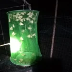 3pcs Folding Hanging Automatic Fly Hunter, Induced Fly Cage - Image 9