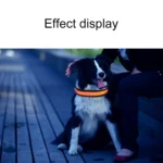 Medium and Large Dog Pet Solar + USB Charging LED Light Collar, Neck Circumference Size: L, 50-60cm - Image 12