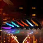 Medium and Large Dog Pet Solar + USB Charging LED Light Collar, Neck Circumference Size: L, 50-60cm - Image 2