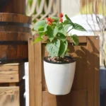 Self-Watering Planter Grow Plants Lazy Flower Pots Wall-hanging Round Resin Plastic Flower Pots, Size: 11x8x10.5cm - Image 7