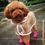 Lovely Pet Dog Shoes Puppy Candy Color Rubber Boots Waterproof Rain Shoes, S, Size:  4.3 x 3.3cm - Image 7