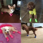 Lovely Pet Dog Shoes Puppy Candy Color Rubber Boots Waterproof Rain Shoes, S, Size:  4.3 x 3.3cm - Image 9