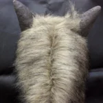 Halloween Mask Latex Wolf Head Cap Halloween Festival Party Fancy Masquerade Masks - Image 4